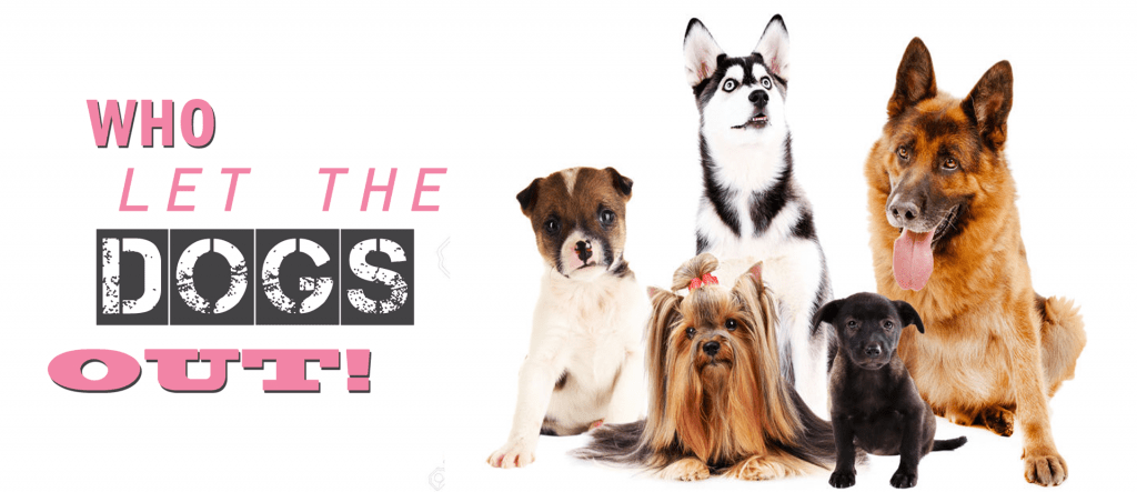 hondenuitlaatservice