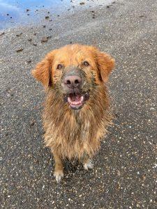 Mud is my new glitter